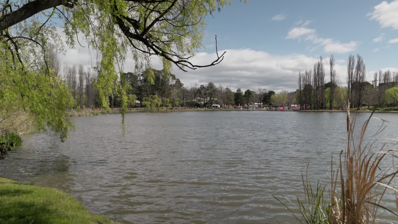 A scenic landscape view of the Floriade festival from across the water in Canberra, Australia. A willow tree in the foreground frames the colorful spring event