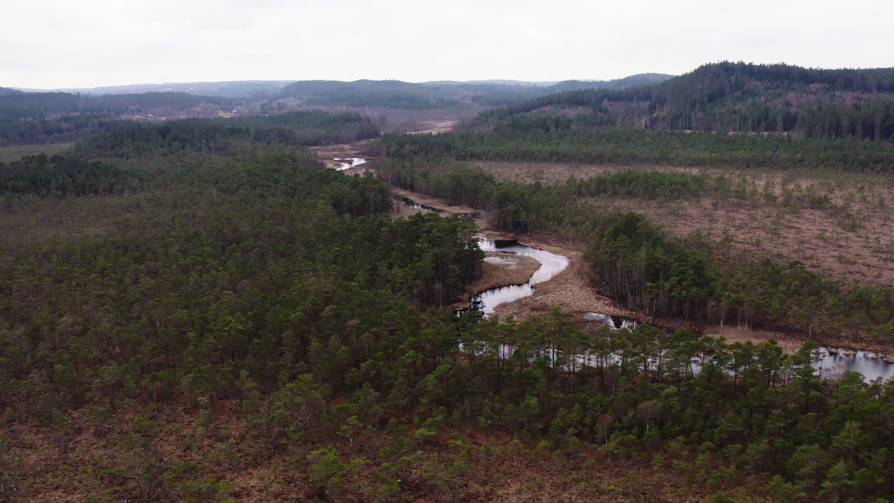 Kärr, skog och slingrande flod, flygfoto som avslöjar landskapet