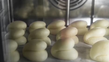 1080p 24p, steam bun, steam bao timelapse