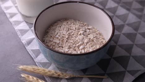 oatmeal in a bowl with milk