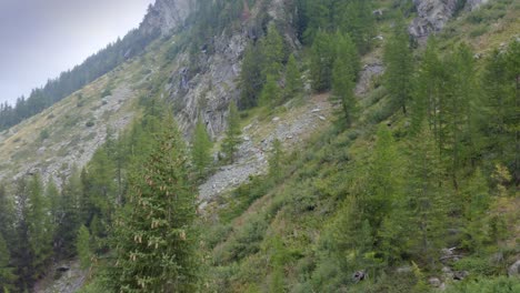 Flying-over-an-alpine-landscape-in-a-cloudy-day