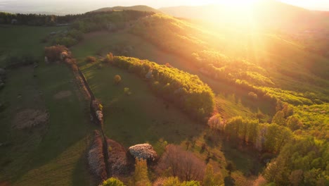 magnificent mountains, undulating terrain of the lower tatra range, with its lush forests and winding rivers, illuminated by the golden light of the setting sun, european nature0