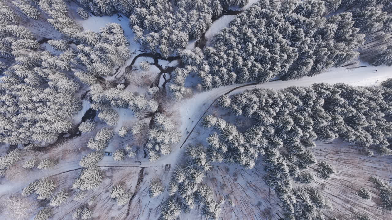 Panoraamadroonikuva talvesta ja lumipeitteisistä kuusista. Transilvania, Ciucasin vuori Romaniassa, Karpaateilla.