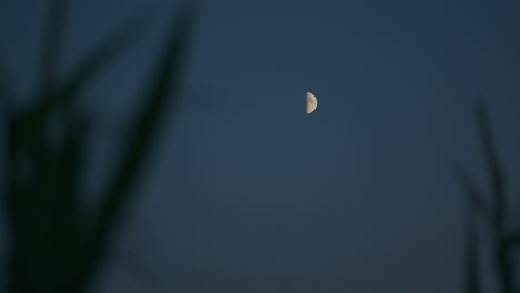 Media-Luna-Espeluznante-En-El-Cielo-Nocturno-Azul-Cambiante-Visto-Desde-Pastizales-Rurales