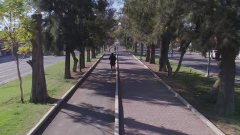 cámara lenta de un hombre haciendo ejercicio en un bosque