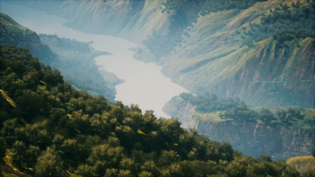 언덕으로 둘러싸인 푸른 숲 한가운데에 있는 하천의  ⁇