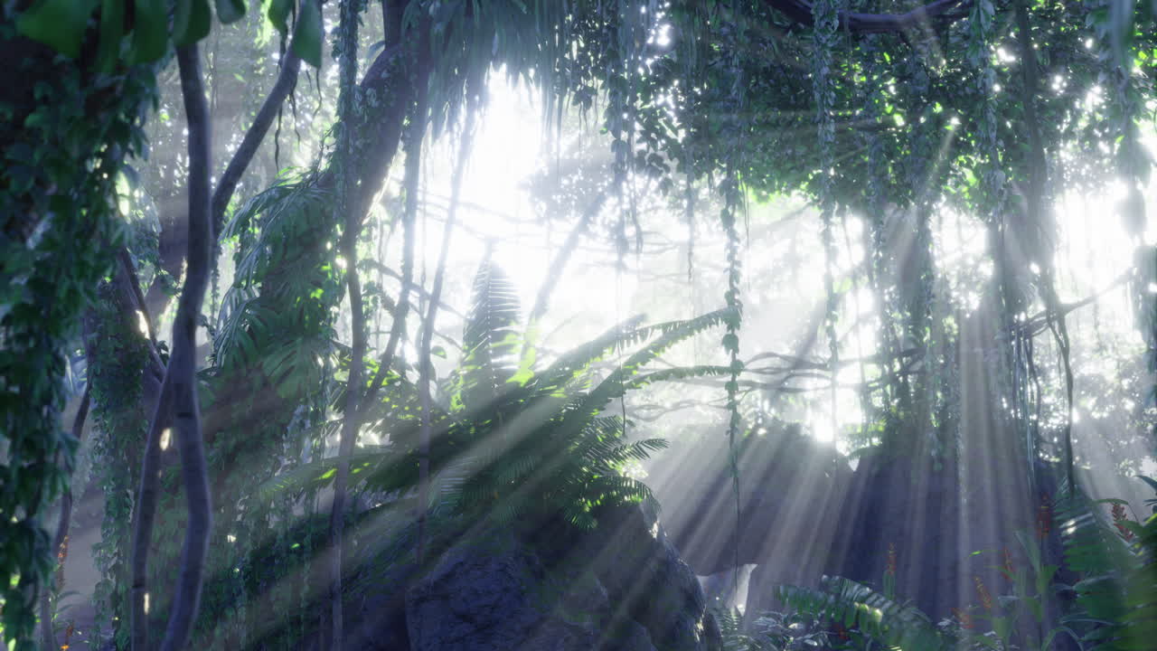 Sunlight filters through dense jungle canopy creating a tranquil atmosphere