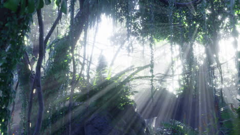 sunlight filters through dense jungle canopy creating a tranquil atmosphere