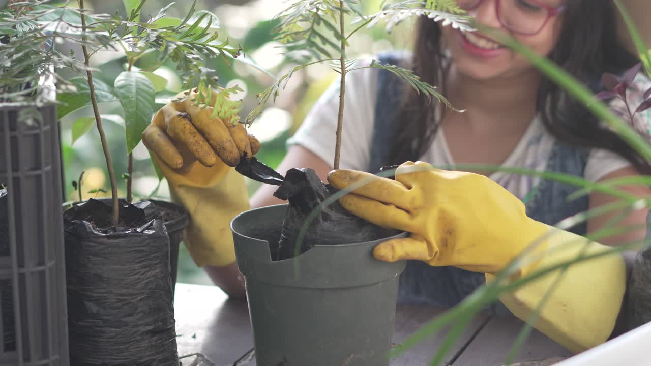 Smiling girl potting an Australian Oak plant