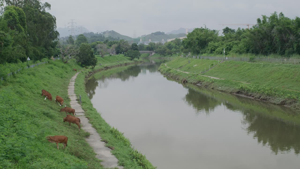 vista de arriba de un gran río