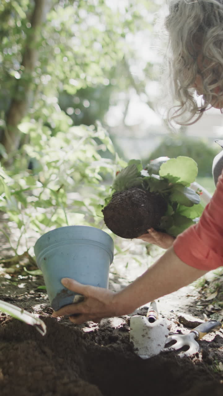 Vertical video of happy senior caucasian woman replanting flowers in garden, slow motion