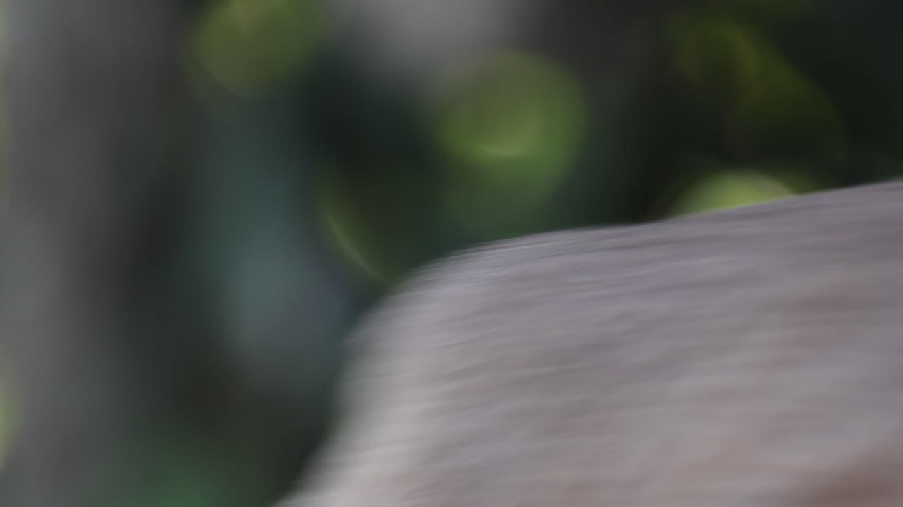 원이는 주변을 관찰하면서 머리를 돌립니다.