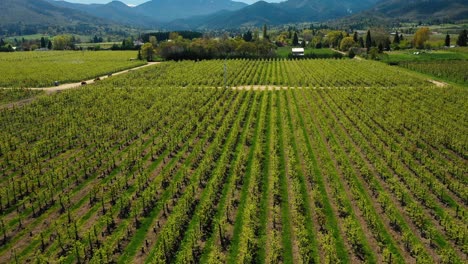 Aerial-view-of-valley-filled-with-fruit-orchards,-Southern-Oregon