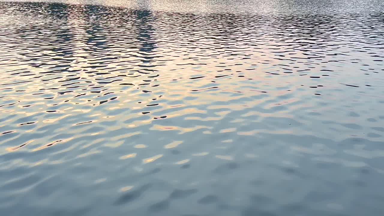 Gentle ripples on a lake reflect the sky and trees, creating a tranquil scene at sunset