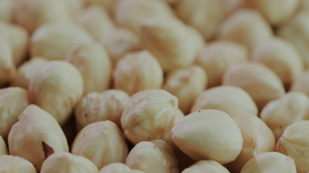Noci di nocciola