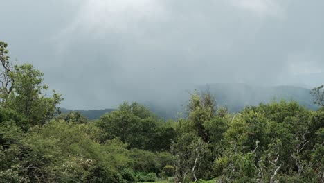 白云掩蓋山頂的景色 雲端運動 山地氣候