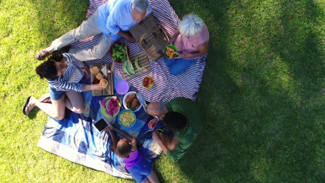 Happy-family-having-breakfast-in-the-park-4k