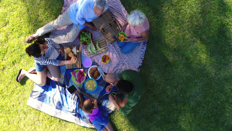familia feliz desayunando en el parque 4k