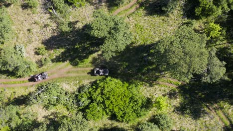 Tourist-activity-in-Iceland-quadbiking-through-Hallormsstaður-national-forest