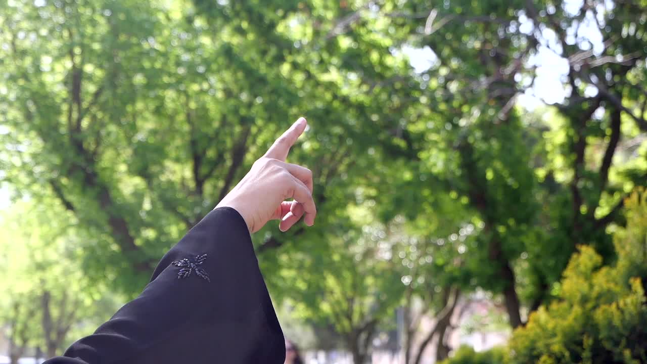 Hand pointing towards trees