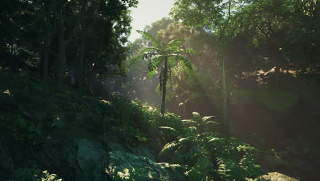 sunlight streaming through a lush tropical jungle