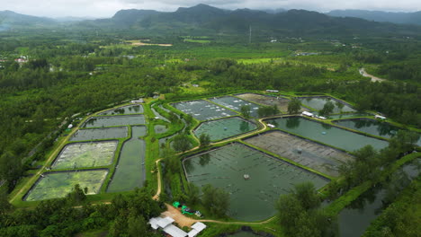 aerial view of the prawn farm with aerator pump in thailand