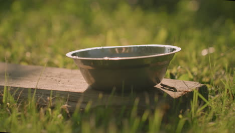 metal bowl placed on wood in grassy field with sunlight casting soft shadows, creating a peaceful, rustic atmosphere, shadow movement reflects on wood, blurring into the warm, sunlit background