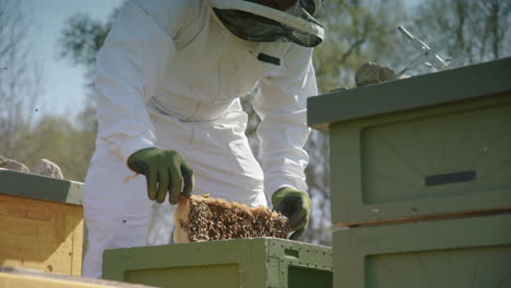 Imkerei---Imker-Entfernt-Einen-Rahmen-Aus-Bienenstock,-Inspiziert-Ihn,-Halbtotale