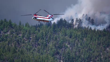 helicopter with water bucket flying over californian woodlands - handheld tracking shot