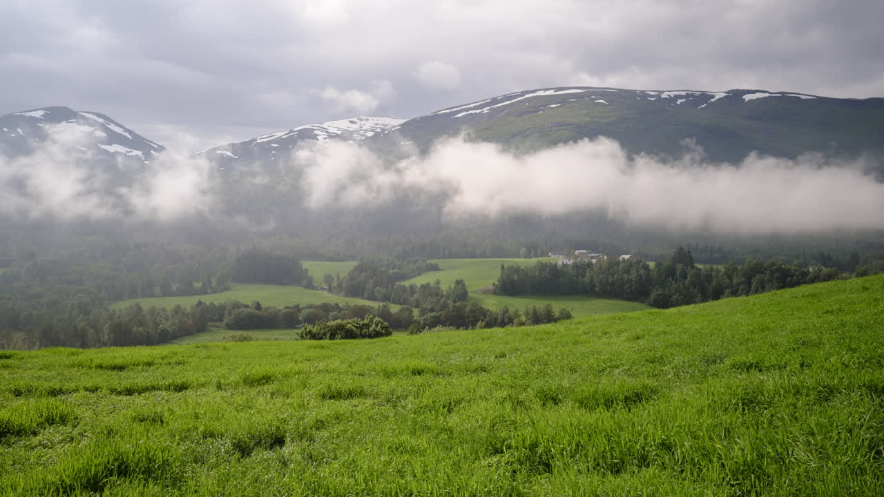 노르웨이 산맥 의 빠른 구름 과 앞면 에 울창 한 초록색 잔디