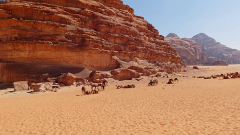 Wide-angle-view-of-pack-of-camels-waiting-on-desert-floor-of-Wadi-rum-below-cliffs