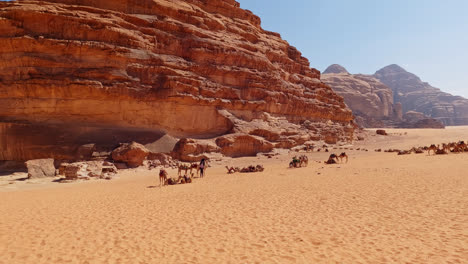 vista de gran ángulo de un grupo de camellos esperando en el suelo del desierto de wadi rum debajo de los acantilados