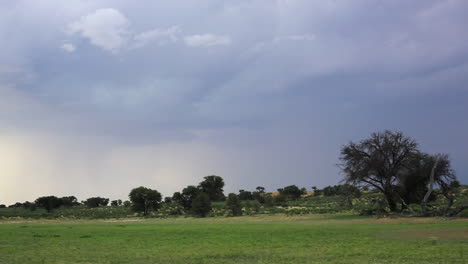 A-building-rain-and-windstorm-in-the-hot-summer-months-in-the-Kalahari-desert-in-South-Africa