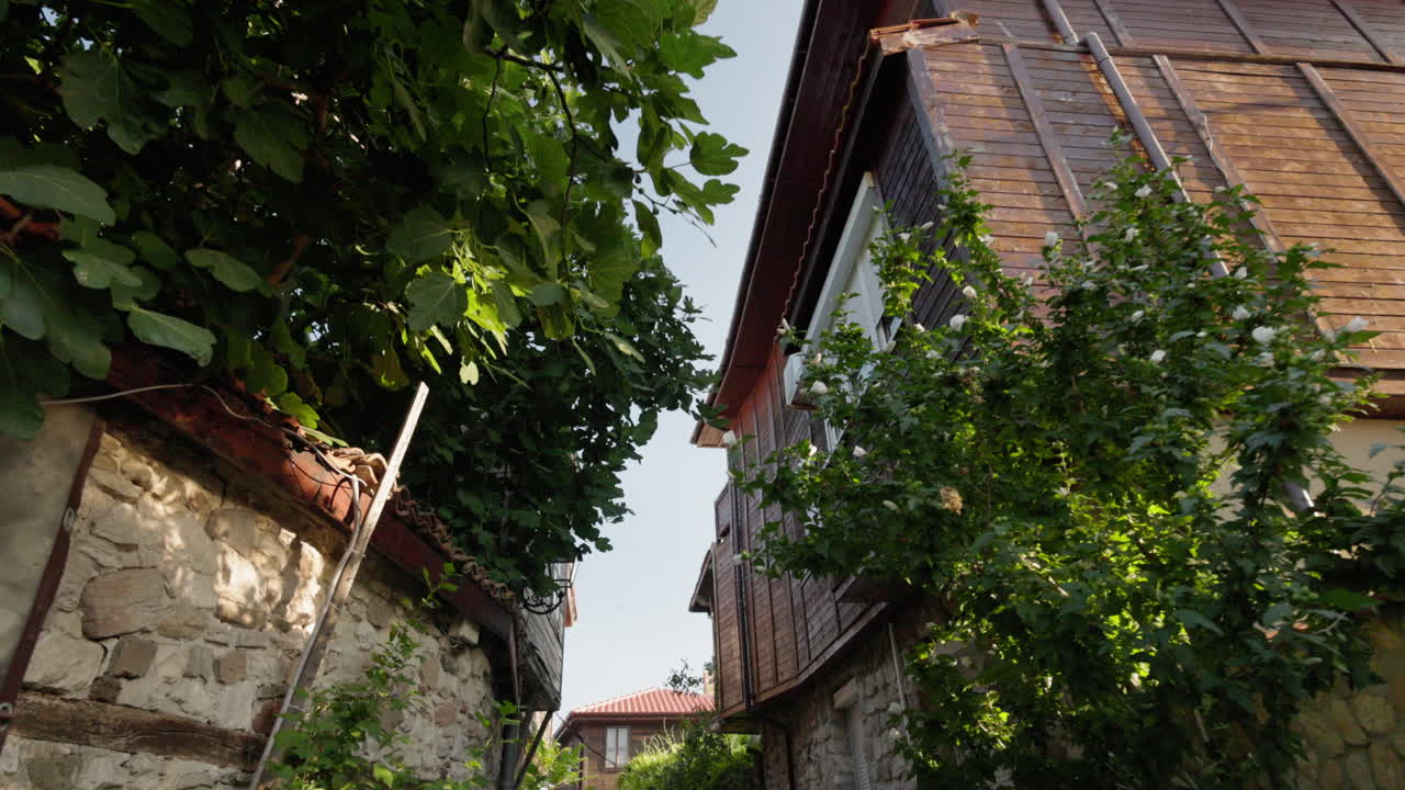 Old Nessebar street with traditional wooden houses and green trees in sunlight