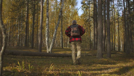 Trekking-Eines-Alleinstehenden-Touristen-Im-Wald-An-Einem-Herbsttag.-Rückansicht-Einer-Männlichen-Figur-Mit-Rucksack,-Einheit-Von-Mensch-Und-Natur