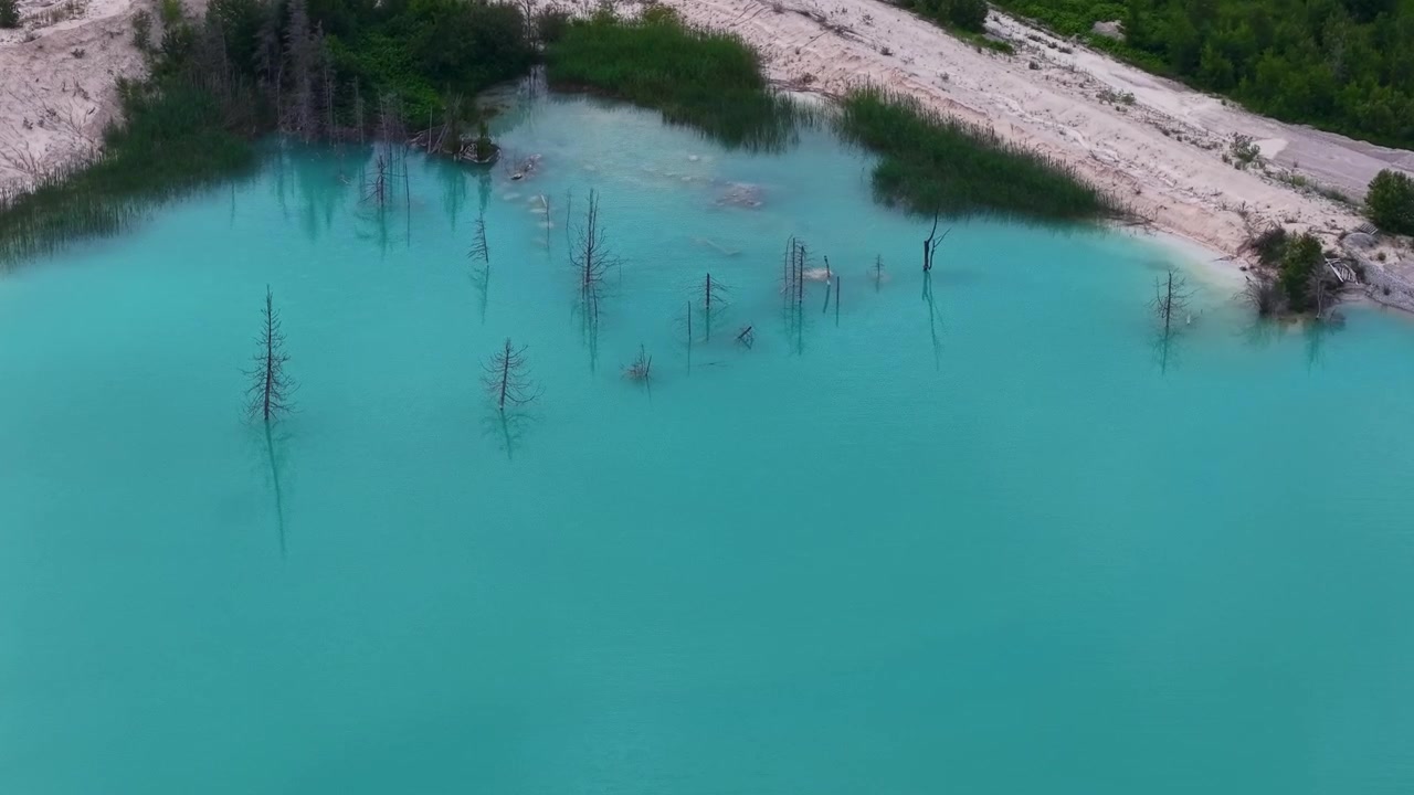 Un suggestivo laghetto di cava blu giace sotto una sponda di calcare pallido con alberi morti che emergono dall'acqua