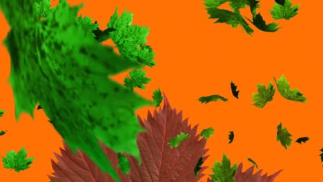 Multiple-autumn-maple-leaves-falling-over-leaves-and-copy-space-against-orange-background