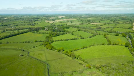 la vegetación del condado de cootehill cavan irlanda avión no tripulado