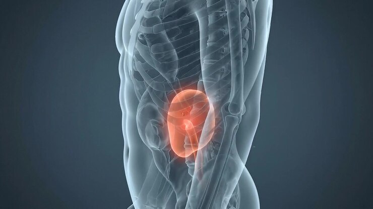 Glowing gastric region highlighted inside transparent upper abdomen in medical view