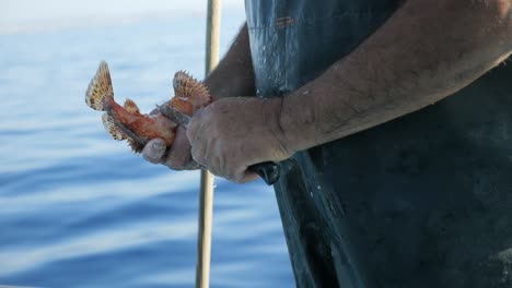 un pescador escala un pez mientras está en el mar