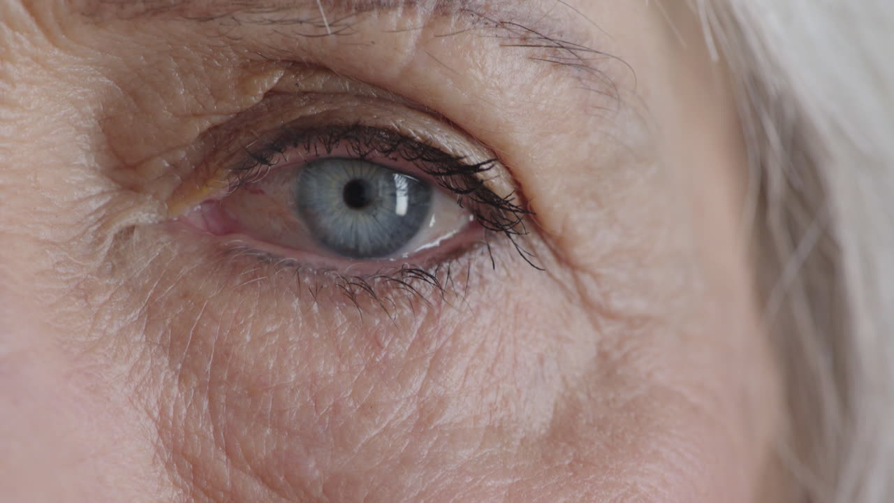 가까이서 아름다운  ⁇ 은 여자 눈 카메라 파란 아이리스를보고