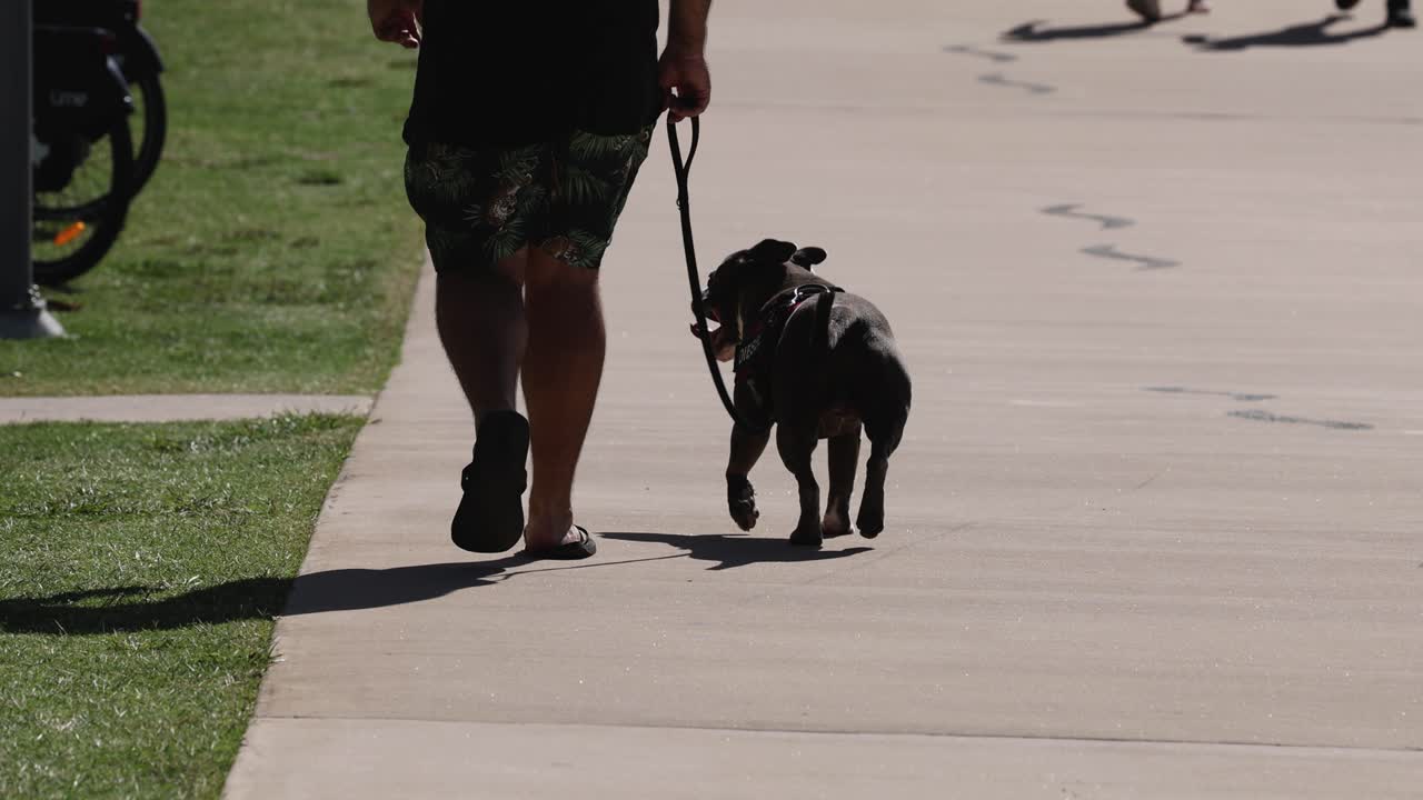 한 남자 가 은 날 에 개 를 산책 시키고 있다