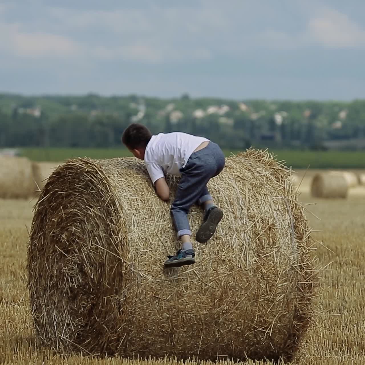 niño caminando por el campo