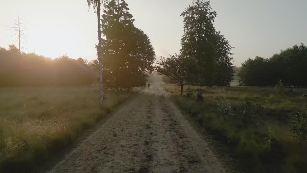 туманная утренняя прогулка в лесу