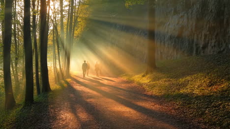 people walking on a sun-drenched forest path with ethereal light rays