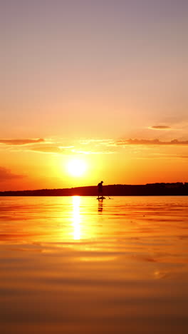 little silhouette of a person practicing paddle boarding. sportsman oars standing on the sup board at sunset. vertical video.