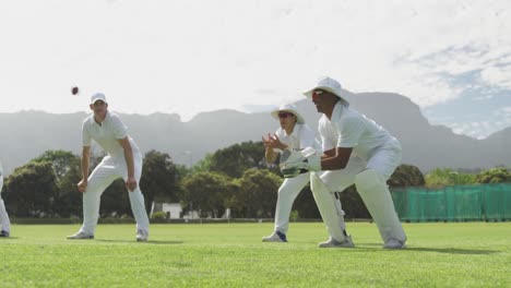 cricket player catching the ball on the pitch