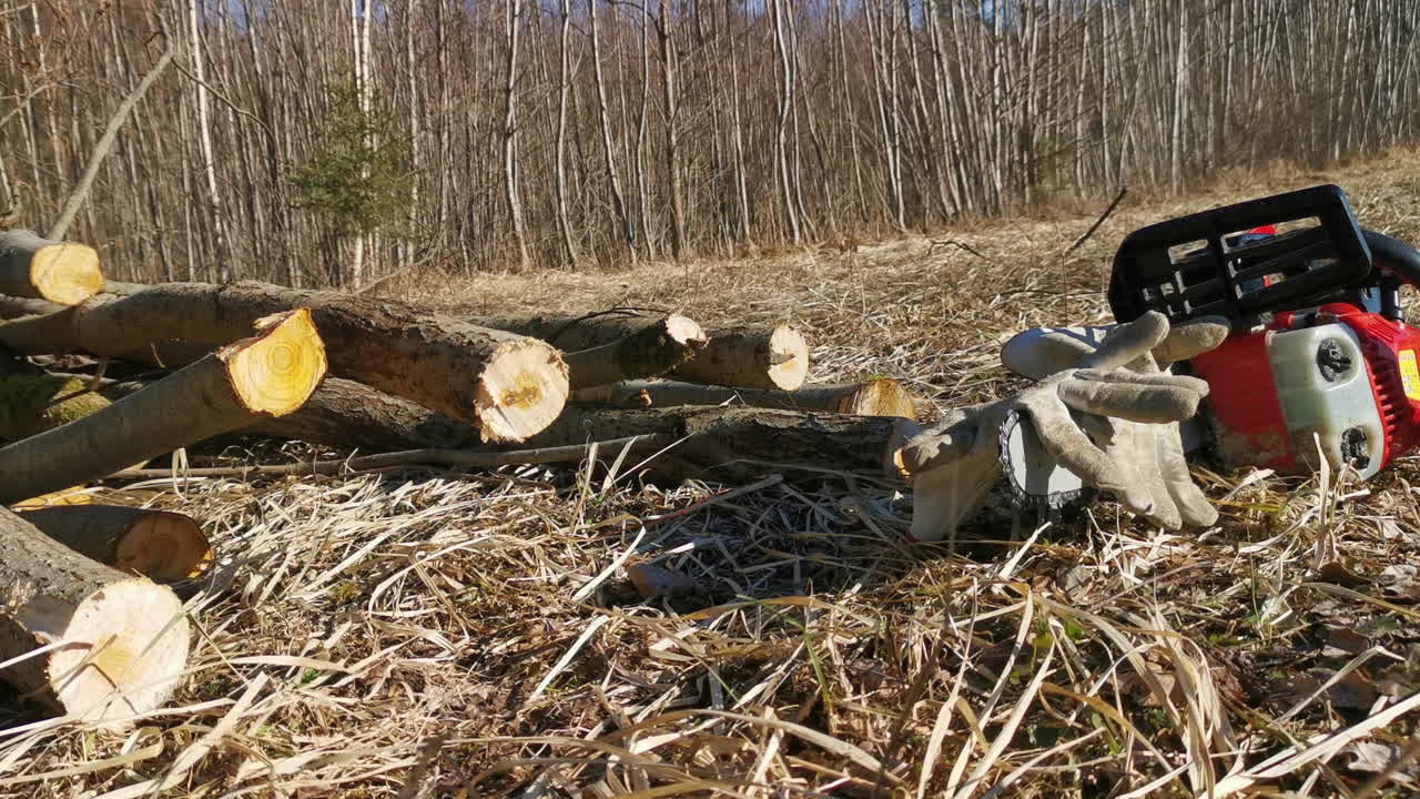Chainsaw with pair of working gloves and cut down branches on sunny spring day outdoors