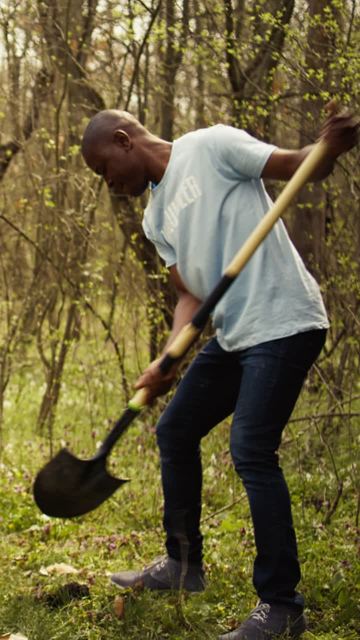 Man Digging Hole to Plant a Tree in a Forest