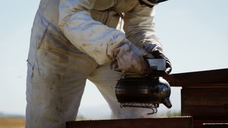 Beekeeper-smoking-the-bee-hive